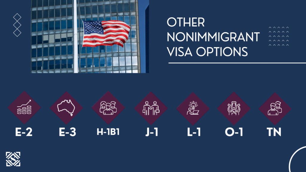 Visa and green card options when not selected in the H-1B lottery